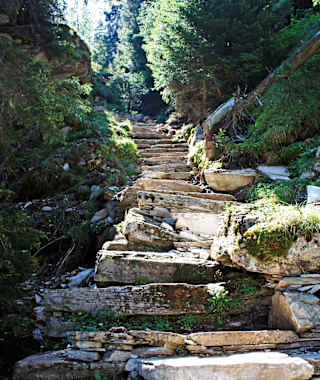 Steintreppe im Furggawald (Avers)