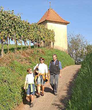 Am Bergle oberhalb von Gengenbach