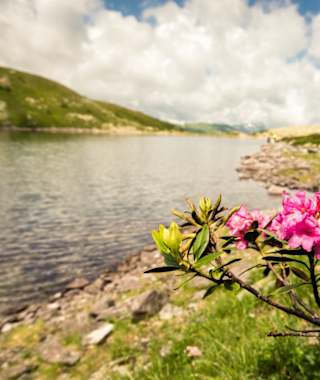Wandern am Palfnersee