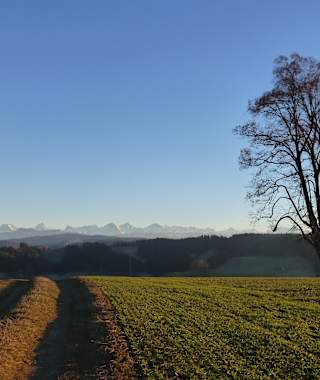 Aussichtspunkt Wasenegg Oberburg