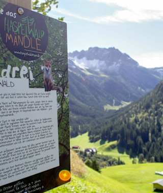 Tafel am Beginn der Wanderung Haspelwald in Mittelberg
