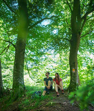 Auf der Zeugenbergrunde wandert man teilweise durch die wunderschönen schattigen Wälder rund um Neumarkt i.d. Oberpfalz.