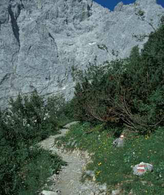Von der Falkenhütte in die Eng