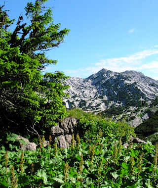 Kurz nach dem Albert-Appel-Haus
