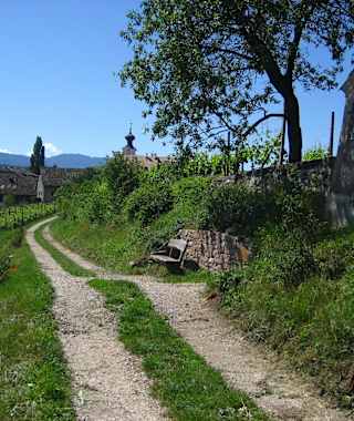 Wandern auf dem Weinlehrpfad in Girlan
