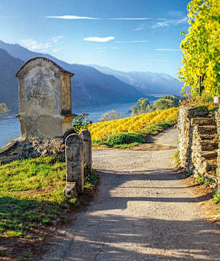 Am südlichen Ortsrand von Weißenkirchen mit Blick das Donautal aufwärts.