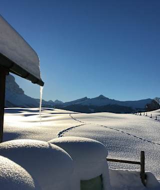 Schneeschuhwandern am Wetterhorn Trail