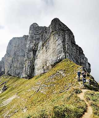 Blick auf den Widderfeld
