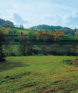 Goldsteig - Nordvariante - Etappe 4: Von Neuhaus nach Letzau
