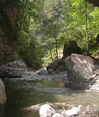 Der Frödisch-Wildbach