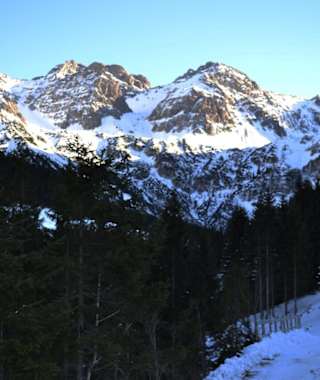 Wildental Blick auf die Dreischafalpköpfe