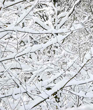 Winterlandschaft Baiersbronn