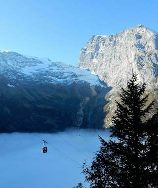 Fürenalp mit Nebelmeer unter dem Titlis