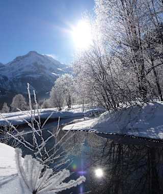 Winterwonderland im Naturschutzgebiet Rohr