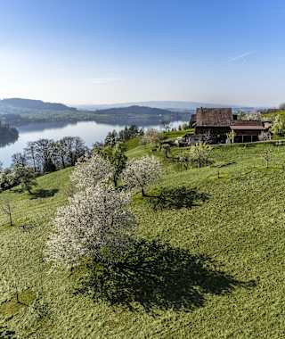 Sanfte, grüne Hänge über dem Zugersee