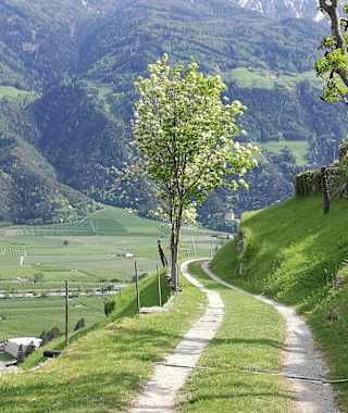 Zwischen Rabland und Naturns