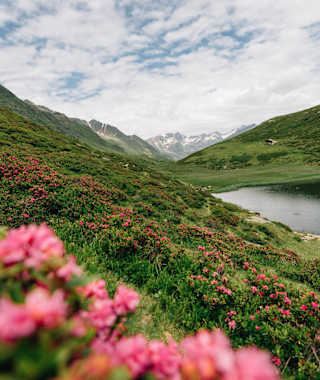 Am Weg zur Speikspitze