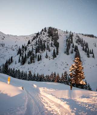 Skitour auf den Laubkogel