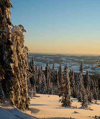 Das Dreisessel-Massiv in Niederbayern