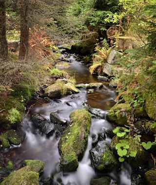 Entlang der Moldauquelle