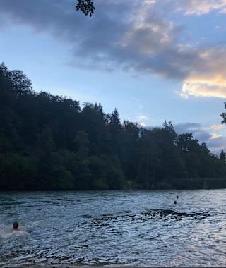 Kanutour auf der Aare