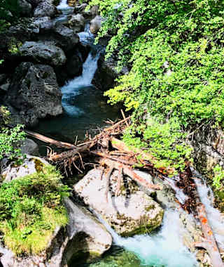 Blick auf den Ackersbach