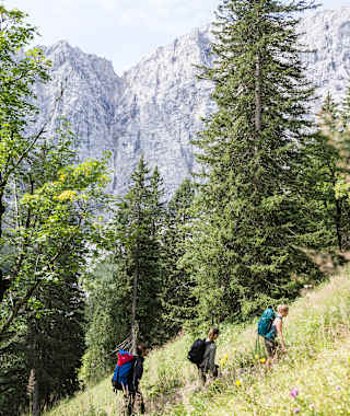 Lamsenjochhütte - Falkenhütte