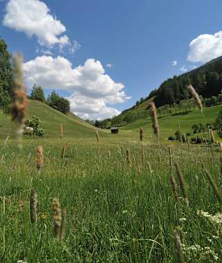 Etappe 06: Matrei in Osttirol - Sudetendeutsche Hütte