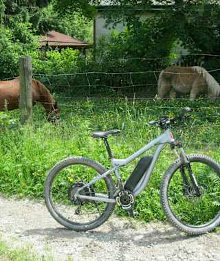 2 1/3 PS an der Rieglerhütte