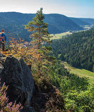 Bildsteinfelsen mit Ausblick ins Albtal