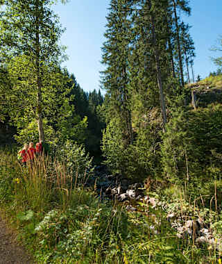 Albweg bei Glashofsäge, St. Blasien