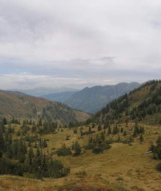 Almboden kurz vorm Finsterkarsee