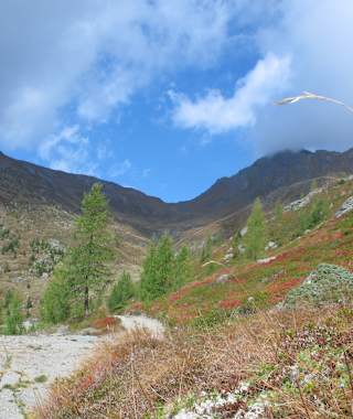 Blick zum Karnischen Kamm