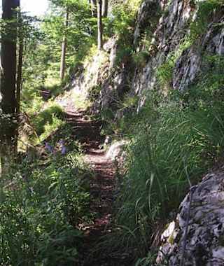 Der Anstieg von Zwing/Inzell Richtung Keitlalm