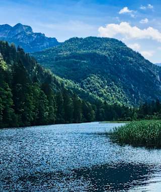 Am Almsee-Nordofer mit dem Zwölferkogel