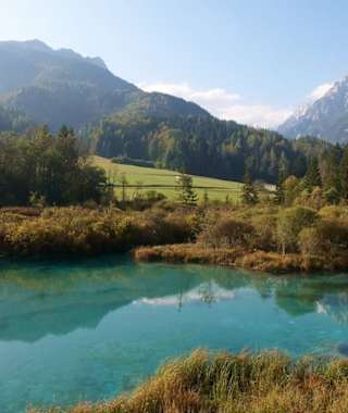 Naturreservat Zelenci