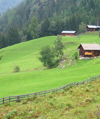 Auf den "Kreuterwiesen"