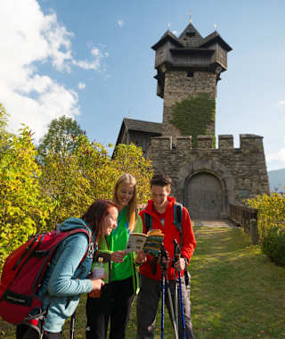 Burg Niederfalkenstein