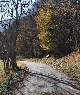 Alte Römerstraße Richtung Radl in Trebesing