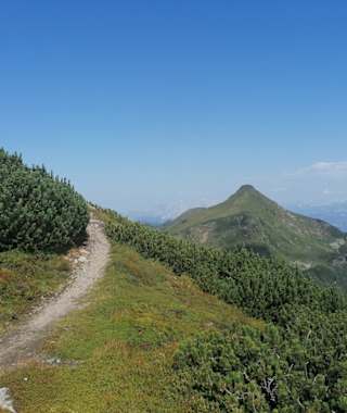 Am Grat zum Karlspitz