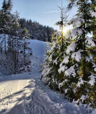 Verträumte Winterlandschaft am Hochkönig