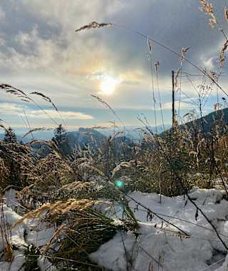Am Weg Richtung Hochlantsch