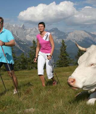 Wandern im Salzburgerland