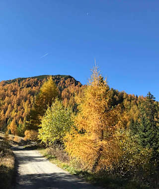 Forstweg zur Trunahütte