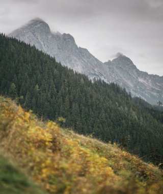 Ardning Alm und Haller Mauern