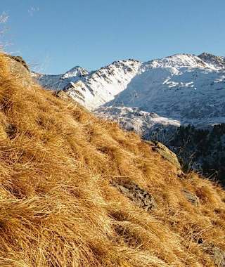 Das Arztal ist ein wunderschönes, ruhiges Tal