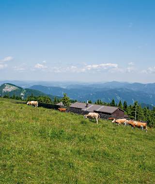 Blick nach Norden über die Jabornig-Hütte, die 150 Meter östlich des Reisalpen Schutzhauses liegt.