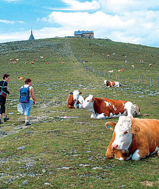 Wandern am Hochwechsel