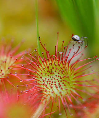 Auf den Monte Piottino