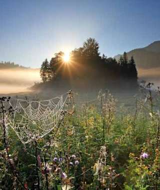 Morgenstimmung am Weitsee